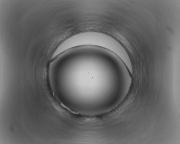 X0000114700401200910211256