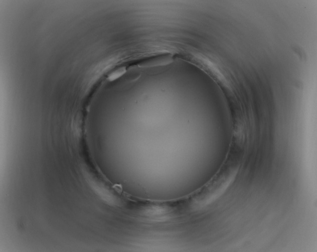 X0000114700402200910211256