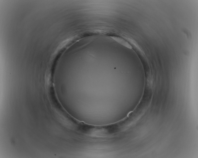 X0000114700403200910211256