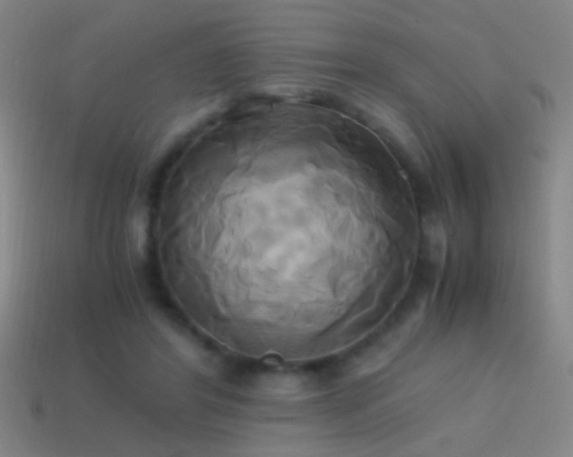 X0000114700404200910211256