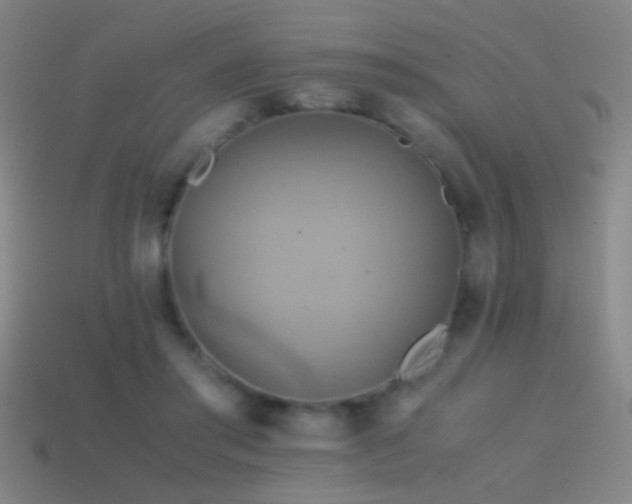 X0000114700405200910211256