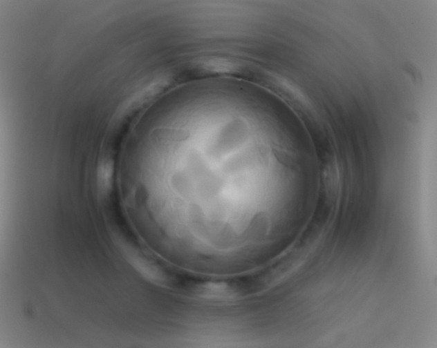 X0000114700406200910211256