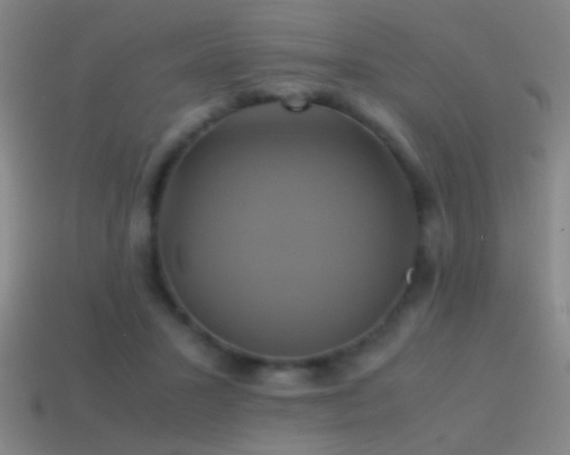 X0000114700407200910211256