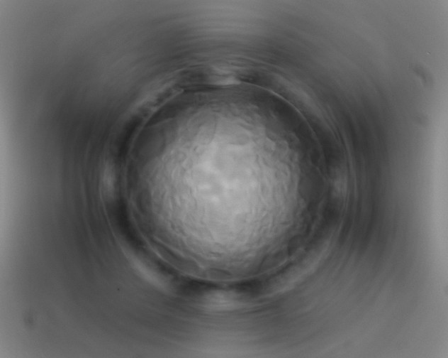 X0000114700408200910211256