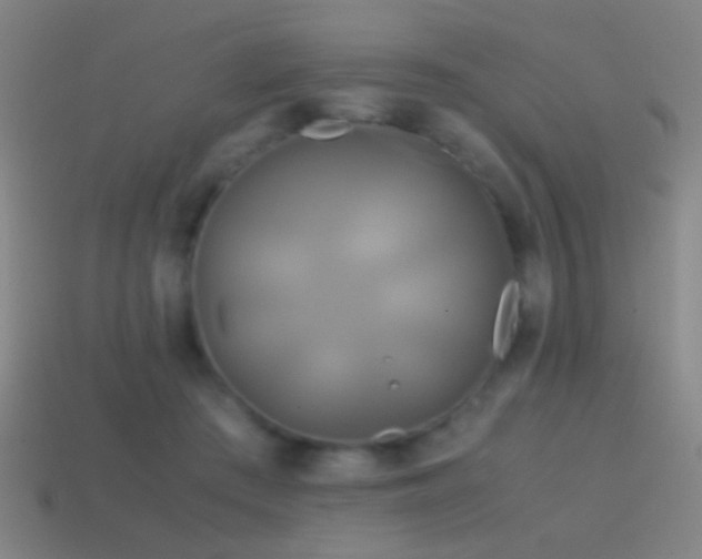 X0000114700409200910211256