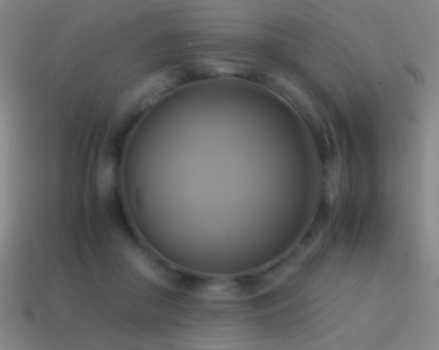 X0000114700410200910211256