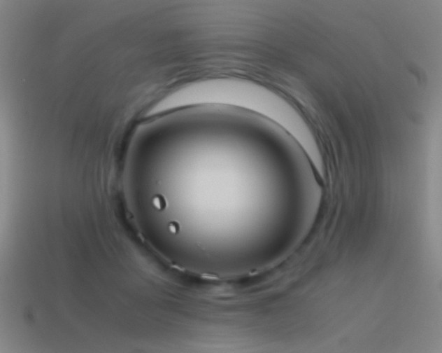 X0000114700411200910211256