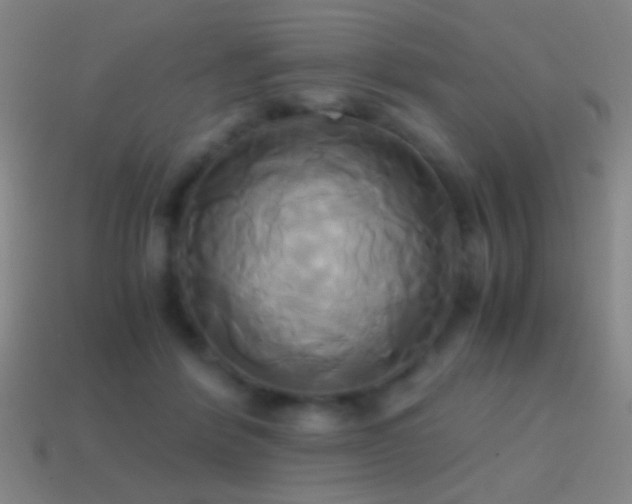 X0000114700412200910211256