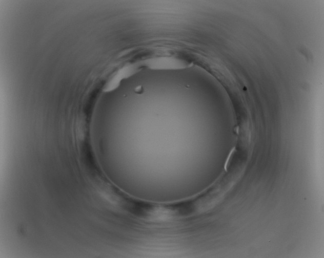 X0000114700413200910211256