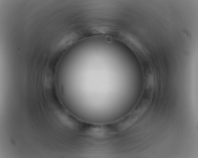 X0000114700414200910211256