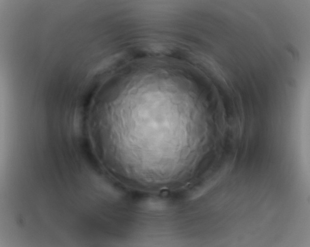 X0000114700416200910211256