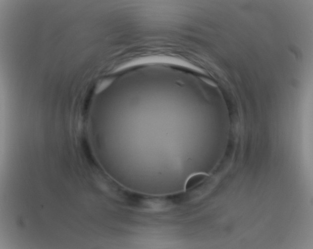 X0000114700417200910211256