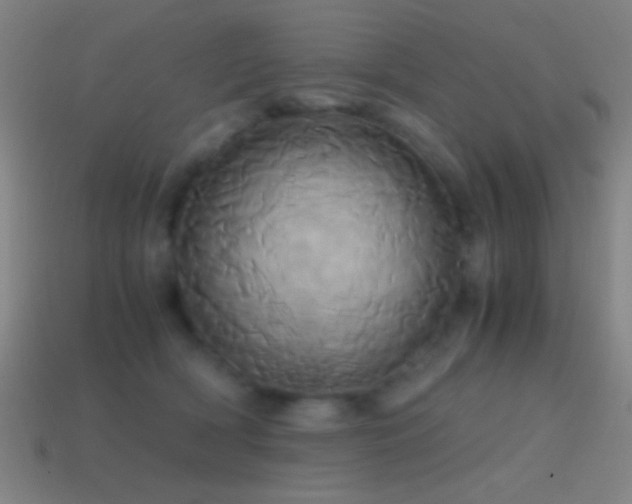 X0000114700418200910211256