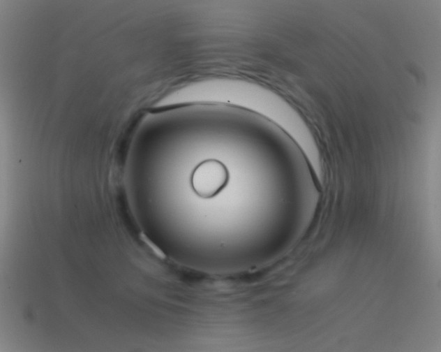 X0000114700419200910211256