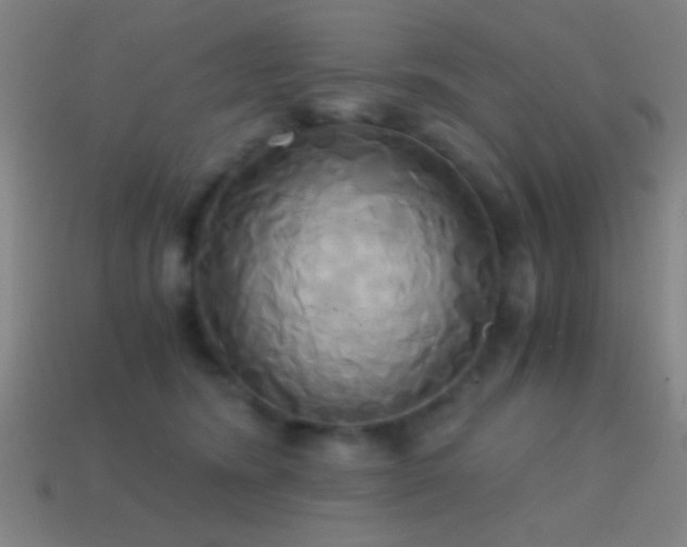 X0000114700420200910211256