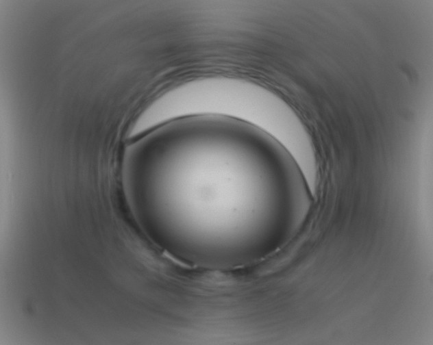 X0000114700421200910211256