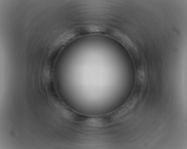 X0000114700422200910211255