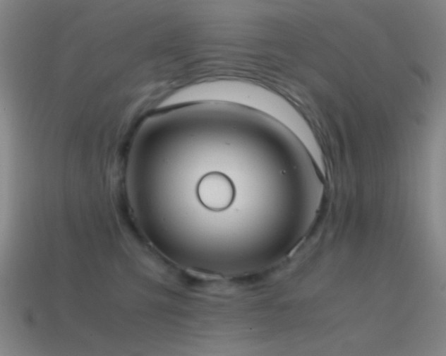 X0000114700423200910211255