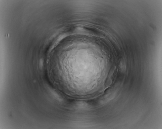 X0000114700424200910211255