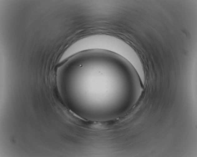 X0000114700425200910211255