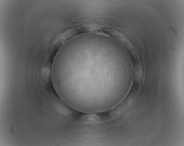 X0000114700427200910211255