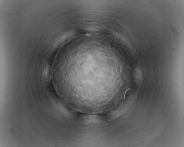 X0000114700428200910211255