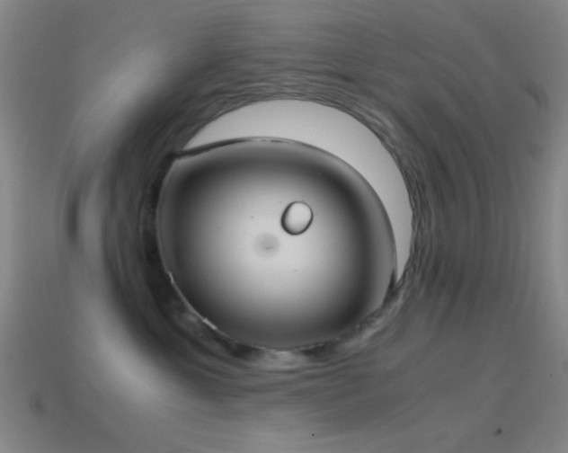 X0000114700429200910211255