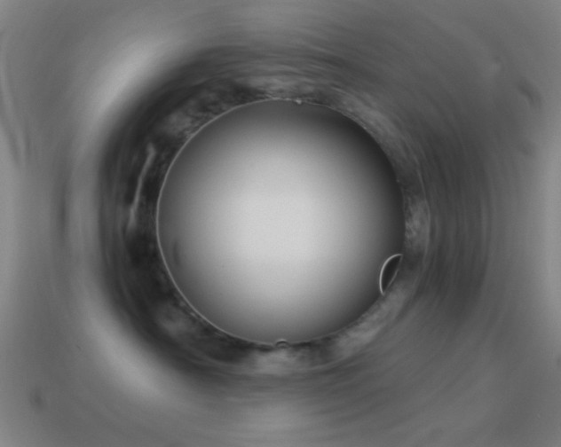 X0000114700430200910211255