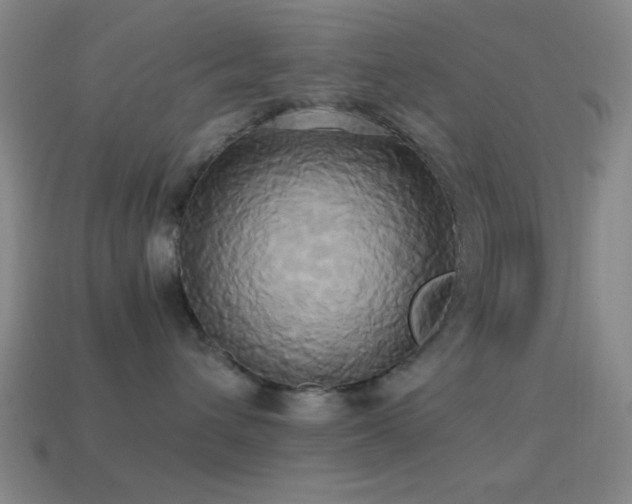 X0000114700432200910211255