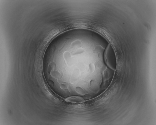 X0000114700433200910211255