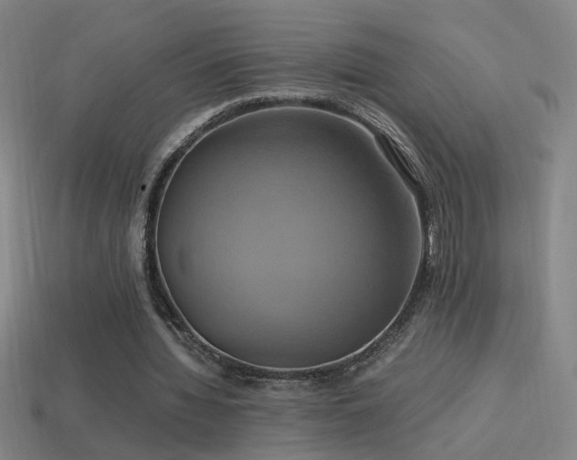 X0000114700436200910211255