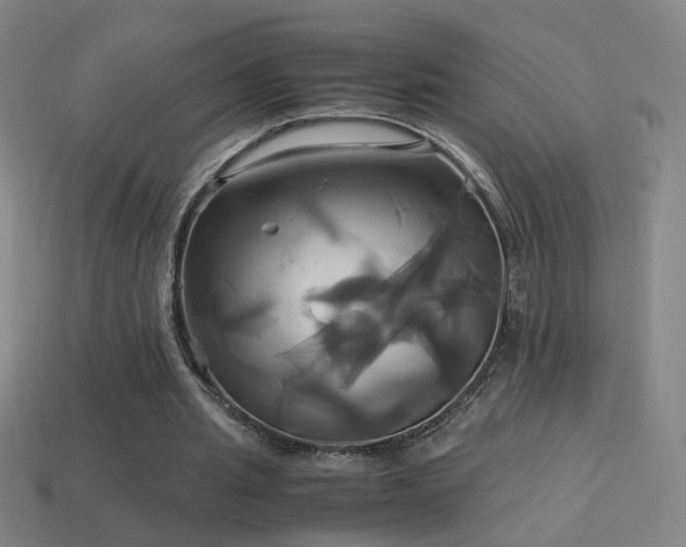 X0000114700437200910211255