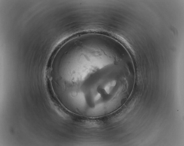 X0000114700439200910211255