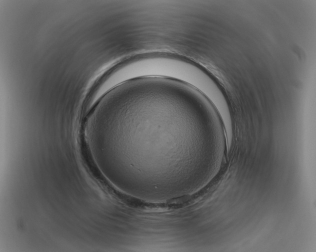 X0000114700440200910211255