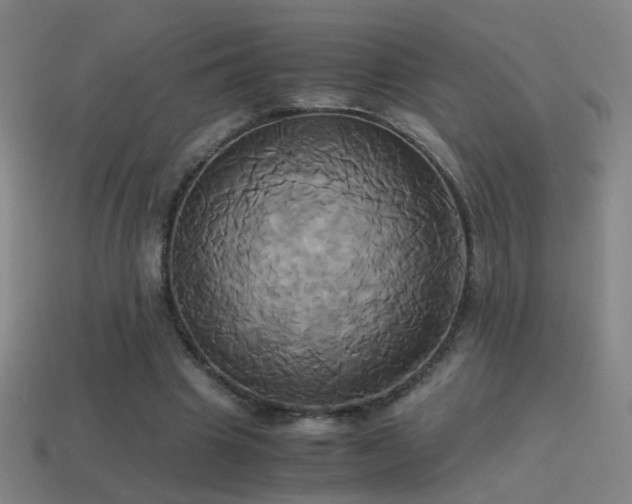 X0000114700441200910211255