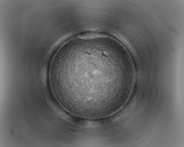 X0000114700442200910211255