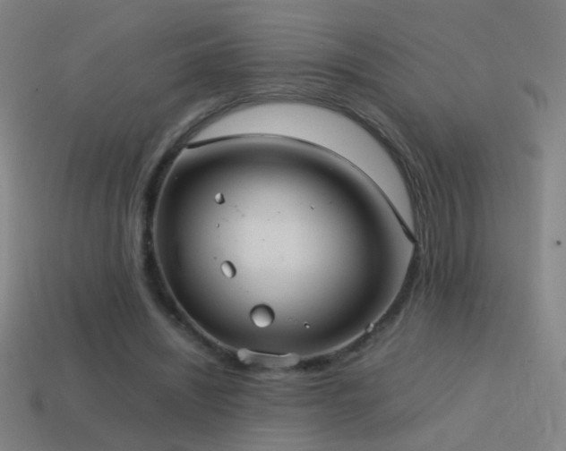 X0000114700444200910211255