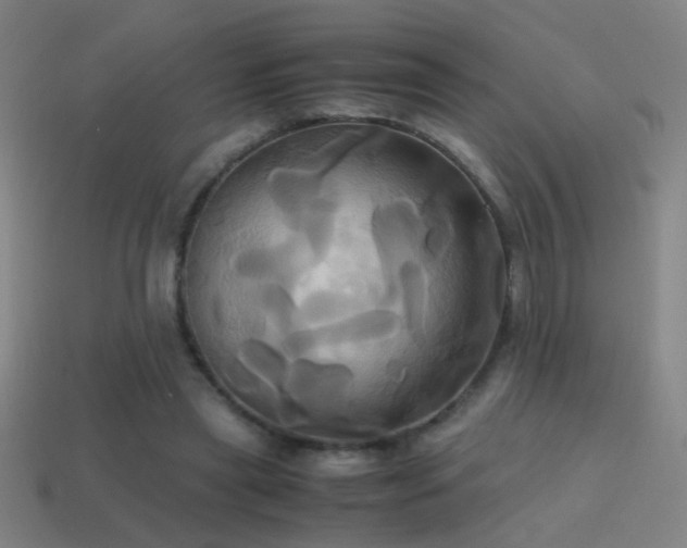 X0000114700445200910211255