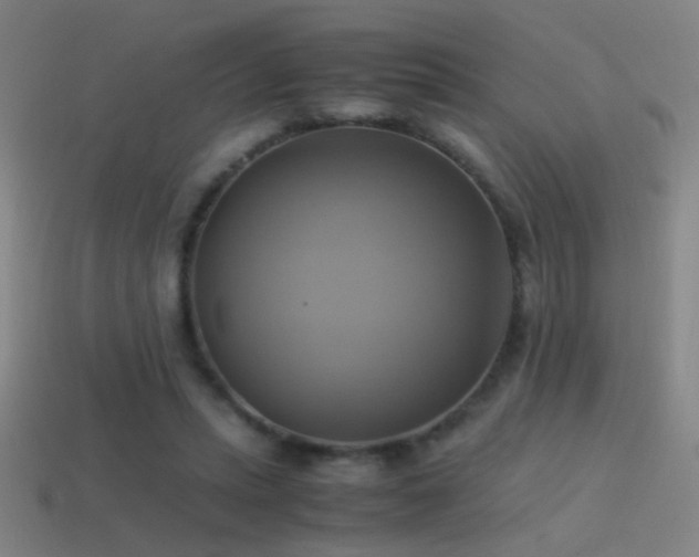 X0000114700447200910211255