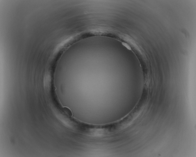 X0000114700448200910211255