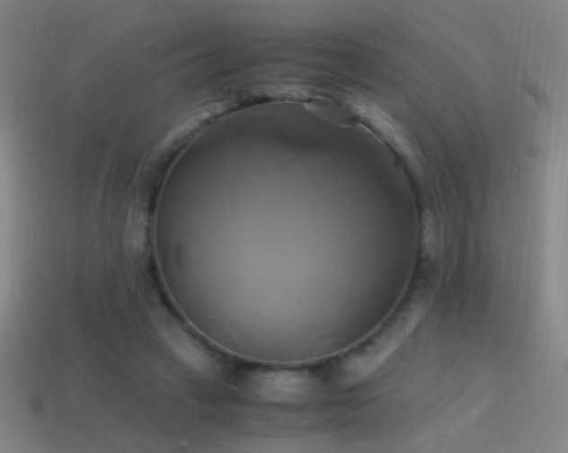 X0000114700449200910211255