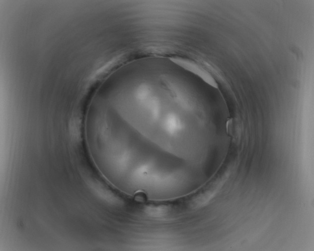 X0000114700450200910211255