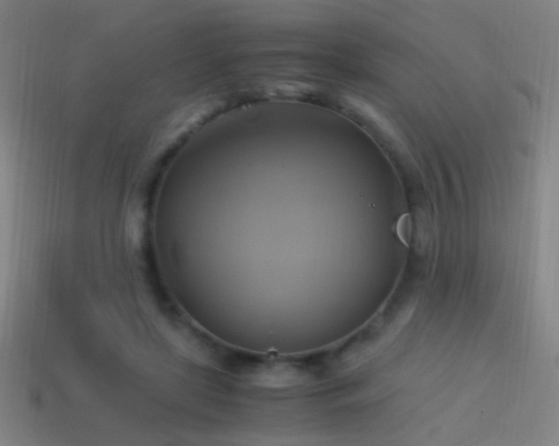 X0000114700451200910211255