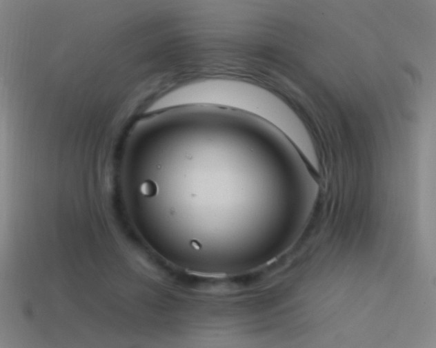 X0000114700452200910211255