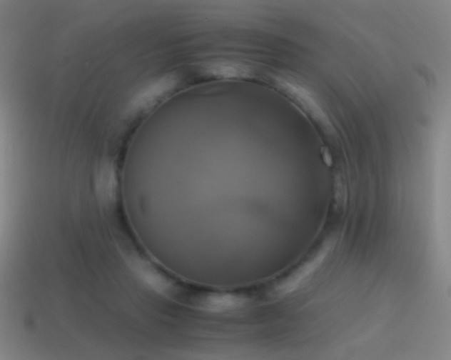 X0000114700453200910211255