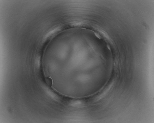 X0000114700454200910211255