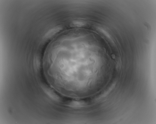 X0000114700455200910211255