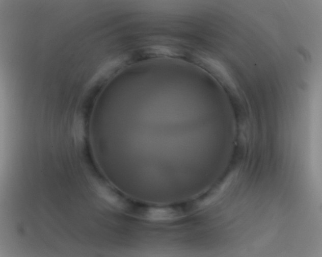 X0000114700457200910211255