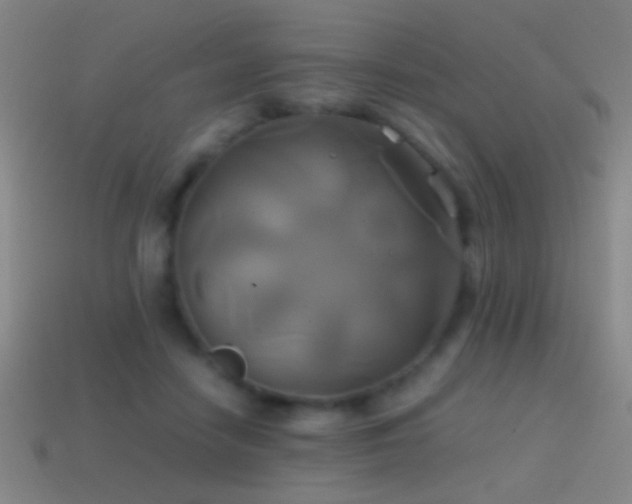 X0000114700458200910211255