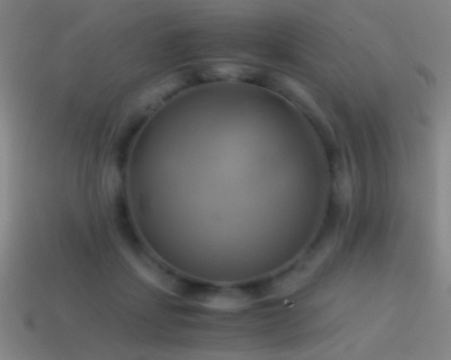 X0000114700459200910211255